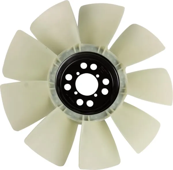 Fan