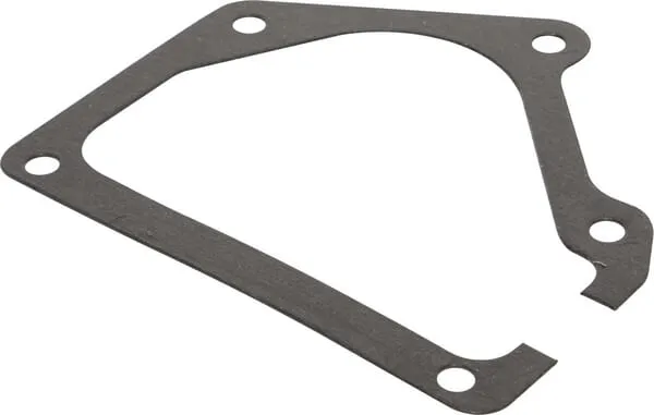 Gasket-Gear Case 0.03