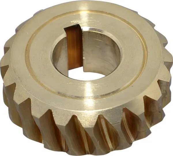 Worm gear