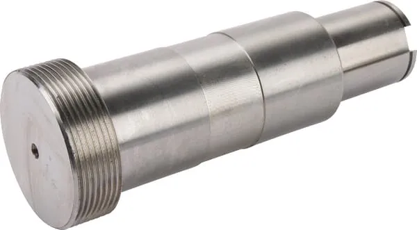 Osa ložiska Busatis