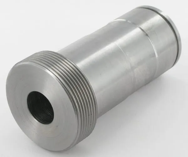 Osa ložiska Busatis