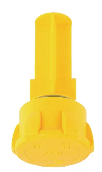 Vypouštěcí šroub