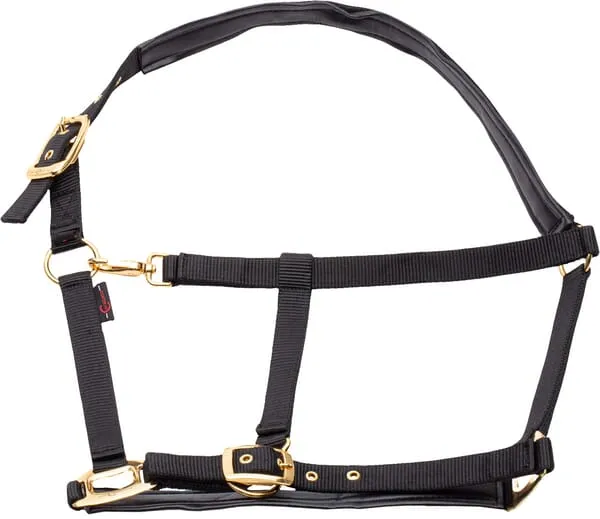 Ohlávka TopLine XFull, černá