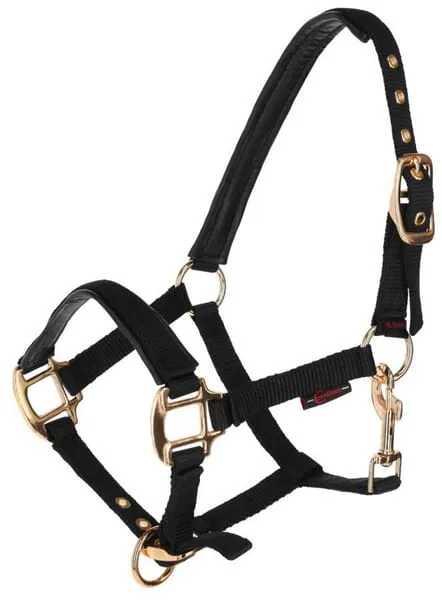 Foal head-collar TopLine