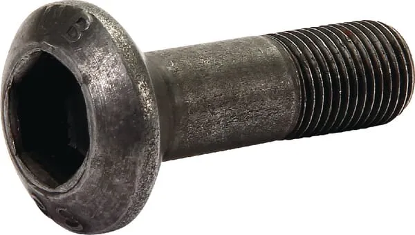 Záp. šroub s čočk.hlavou M10x1