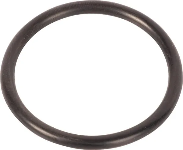 O-ring
