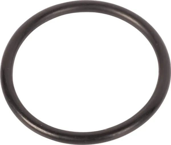 O-ring