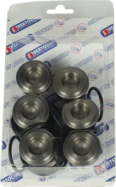 Sada ventilů Bertolini