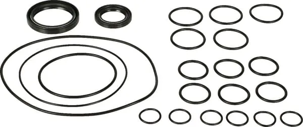 Náhr.sada pro čerp.Bertolini