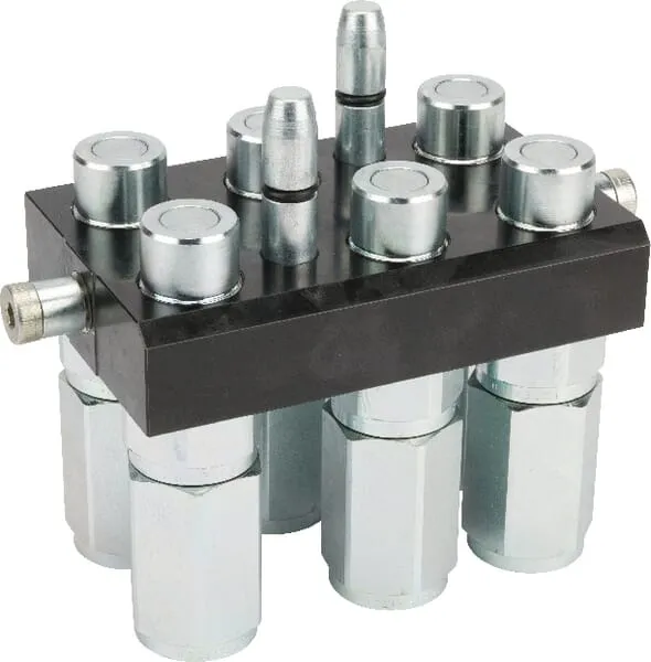 Rychlospojka Multifaster DN12-6x1/2" BSPP, pohyblivá zástrčka
