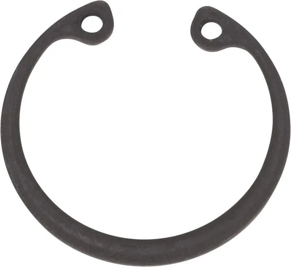 Snap ring
