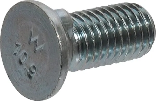 Pluhové šrouby se 2 nosy, metrické, OE