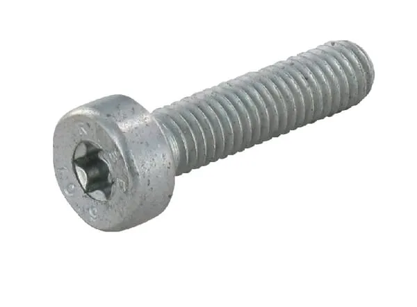 Šr.s válc.hlavou IS-M 5x25