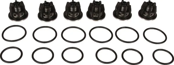 Sada ventilů Bertolini