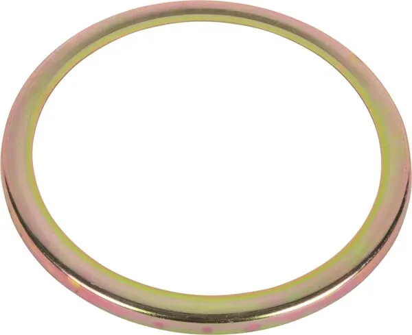Olejové těsnění disk