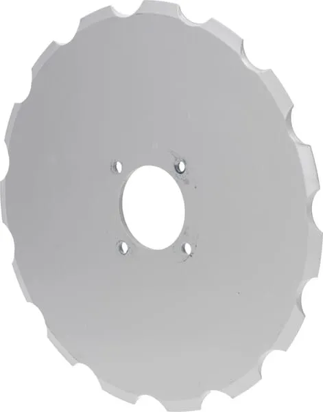 Zoubkovaný disk