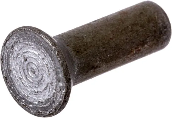 Nýty, balení po 0,5 kg 5x16