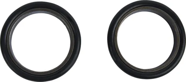 Oil seal