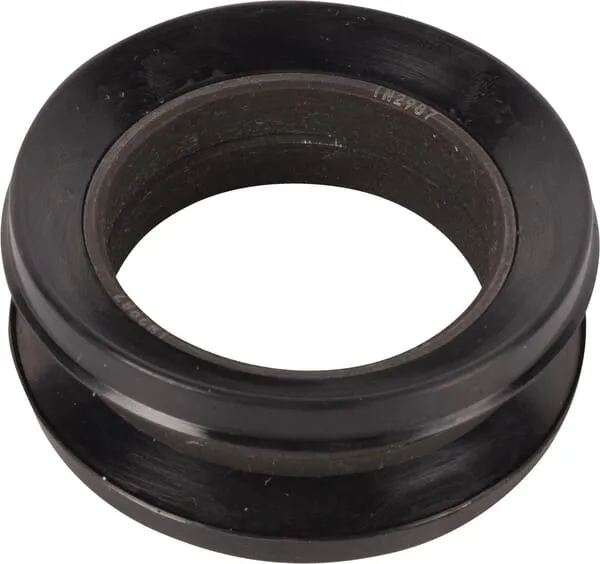 Oil seal