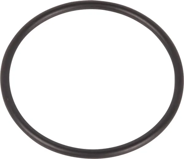 O-ring