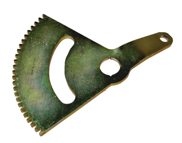 Zubový segment