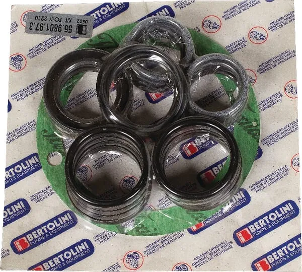 Náhr.sada pro čerp.Bertolini