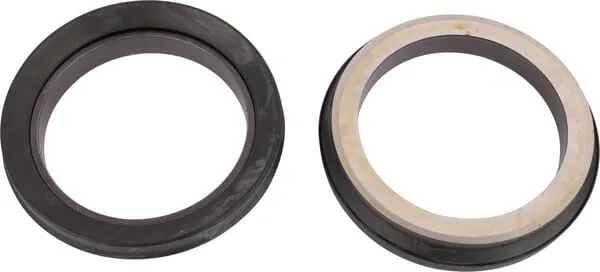 Oil seal