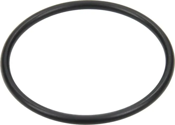 O-kroužek 40,94 x 2,62 mm 70 shore EPDM černá Annovi Reverberi