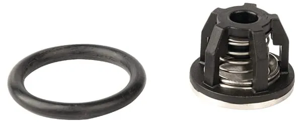 Ventil čerpadla komplet, BP 110