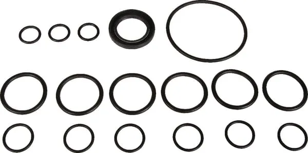 Náhr.sada pro čerp.Bertolini