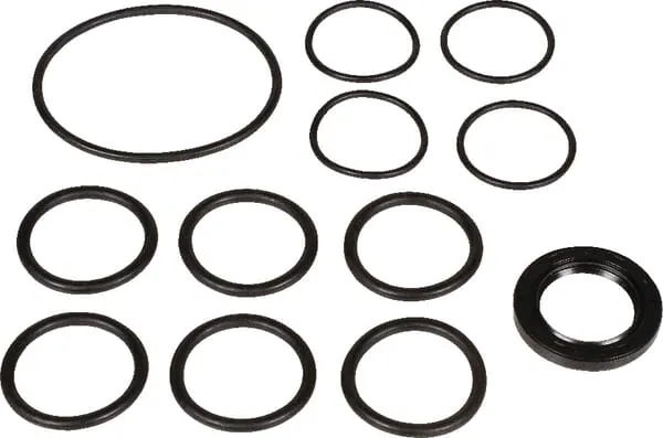 Náhr.sada pro čerp.Bertolini