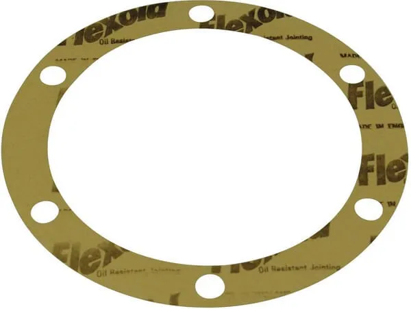 Gasket for pump AR