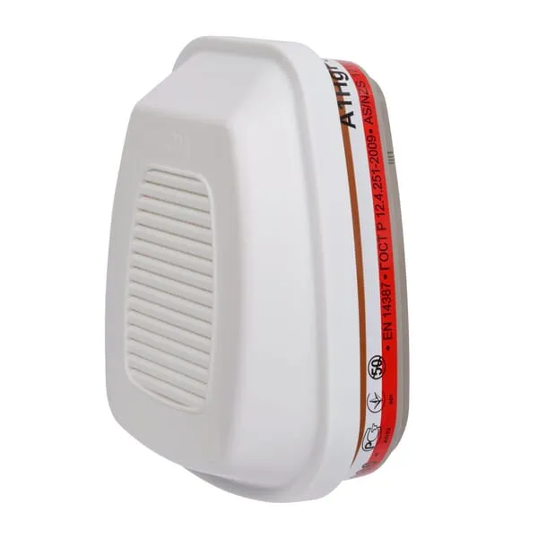 Plynový filtr 6000 HgP3 (2P)