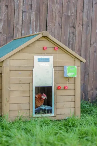 Automatická dvířka pro drůbež, posuvná, 300 x 400 mm