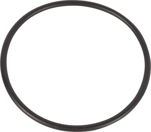 O-ring