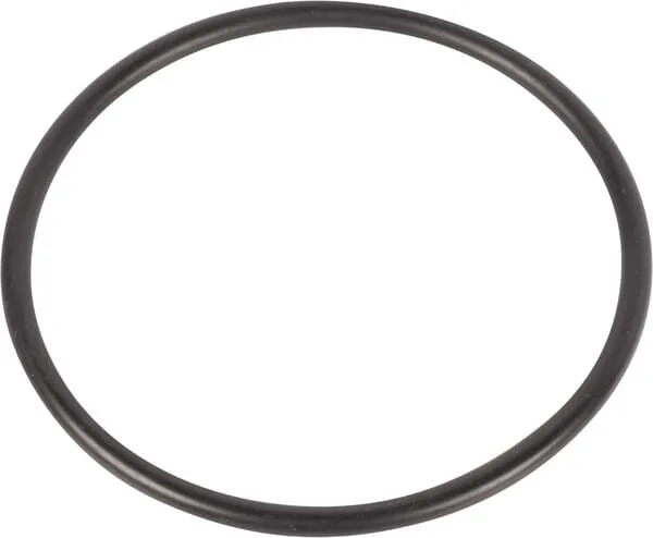O-ring