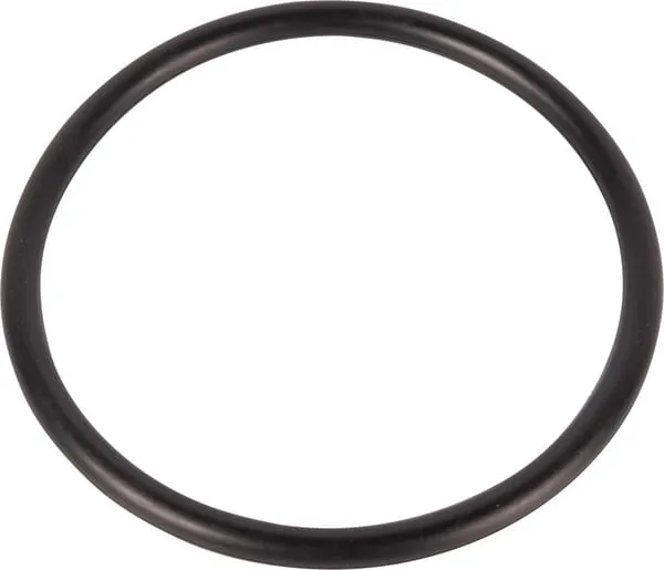 O-ring