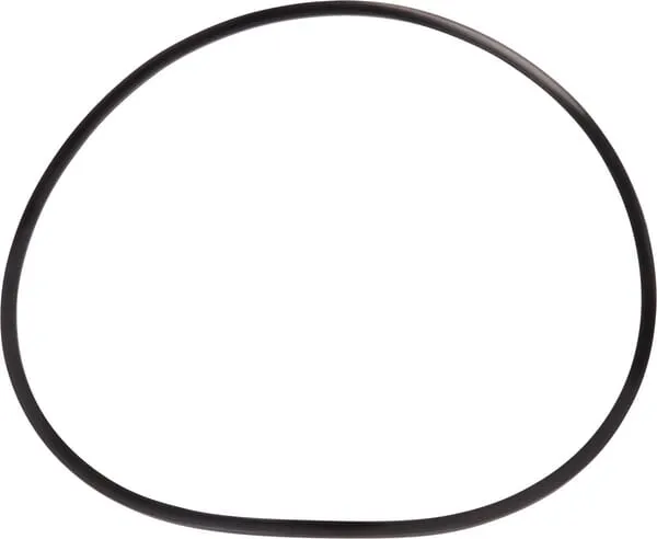 Back Up Ring