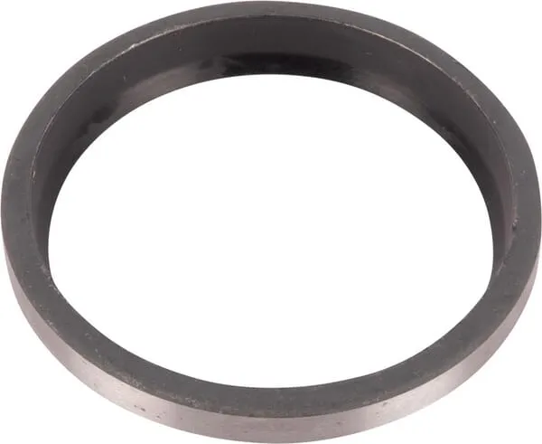 Oil seal, chain tensioner