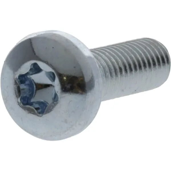 Šroub s půlkulatou hlavou 5 x 20 Torx DIN7985