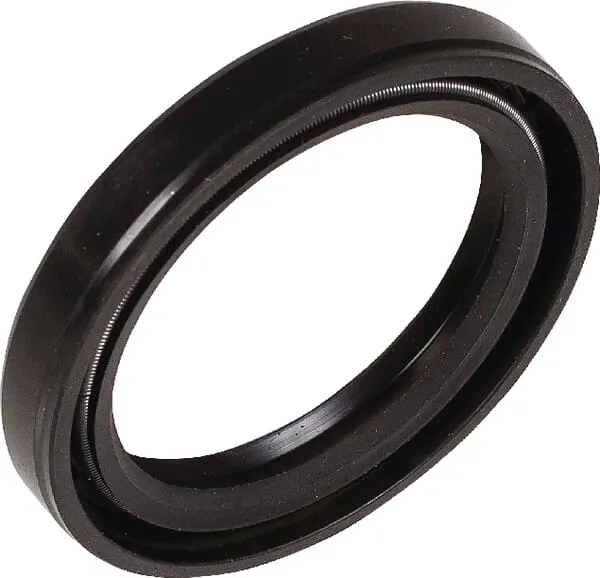 Těsnění oleje Bertolini