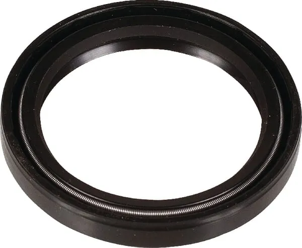 Těsnění Bertolini