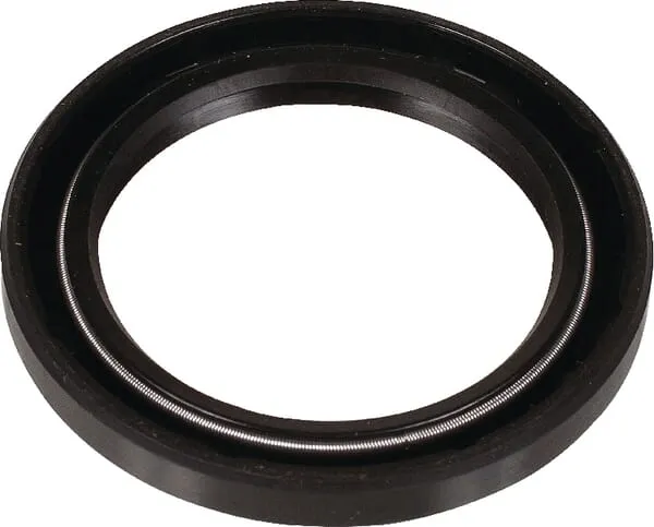 Těsnění oleje Bertolini