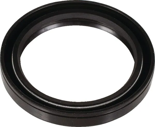 Těsnění oleje Bertolini