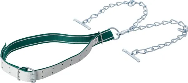 Obojek pro mladé býky 150x5cm