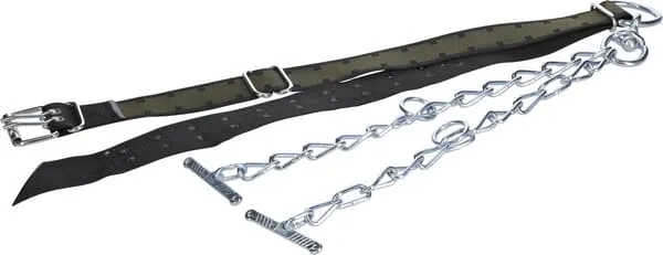 Obojek pro býky 170x7cm s dvojitým řetězem