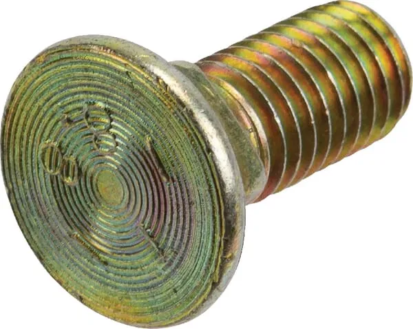 Pluhový šroub M10x25 mm