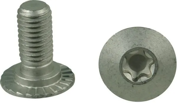 Šroub torx M10x23 10.9