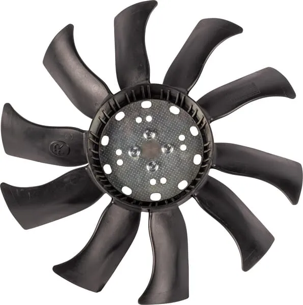 Fan
