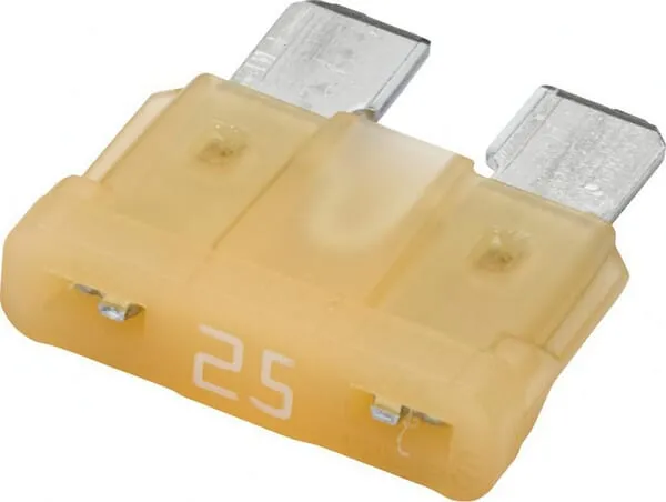 Pojistka 25A
